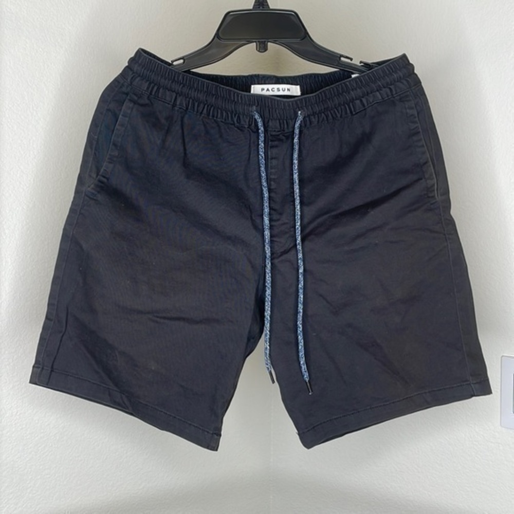 Pacsun Mens Volley Shorts